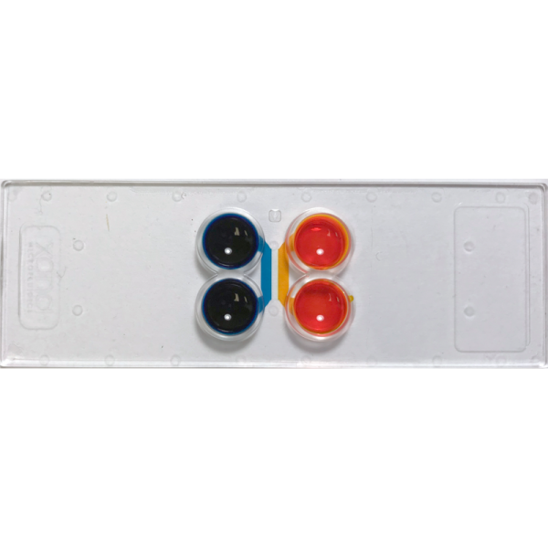 xc-900-r-600x600.png